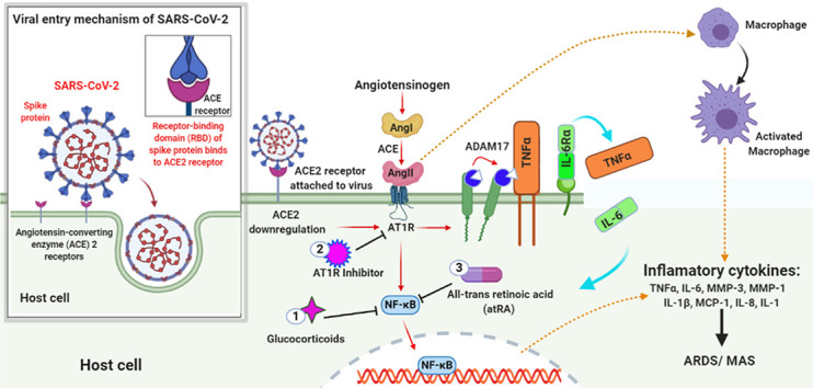 Unlabelled Image