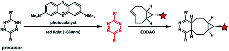 Fig. 4