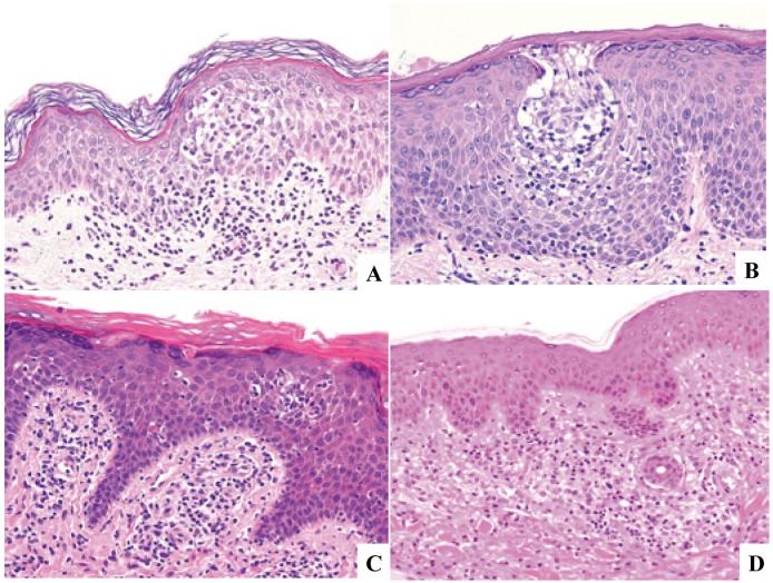 Fig. 10