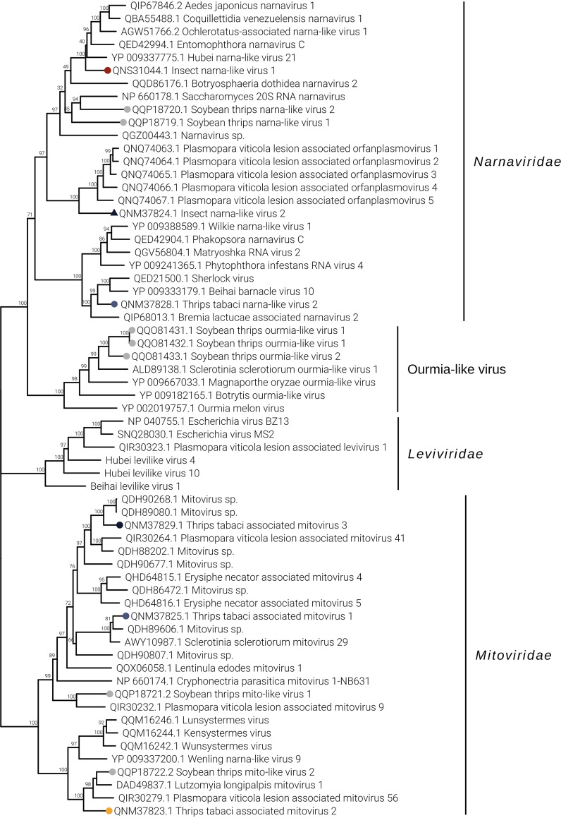 FIG 6