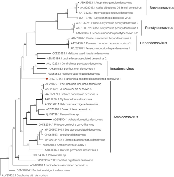 FIG 11