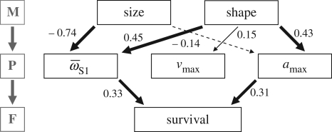 Figure 2.