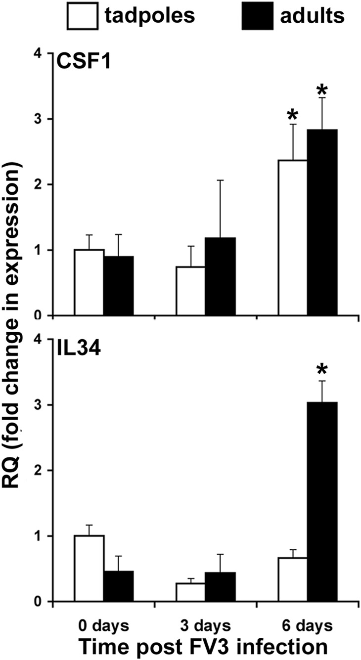 Figure 6.