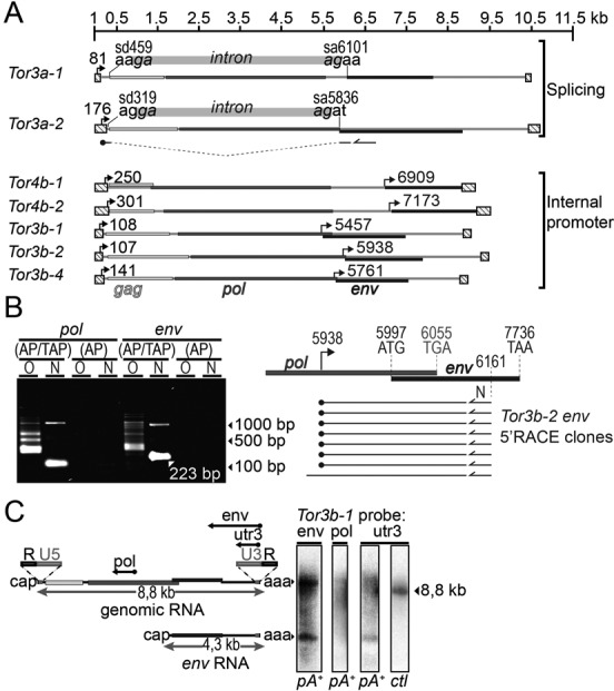 Figure 2.