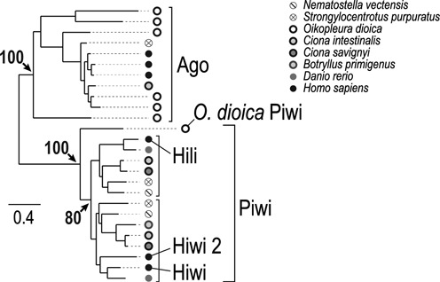 Figure 5.