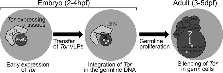 Figure 7.