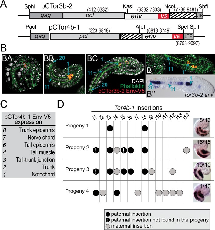 Figure 6.