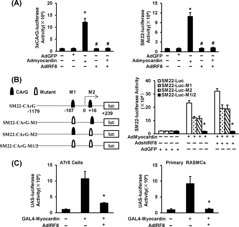 FIG 6