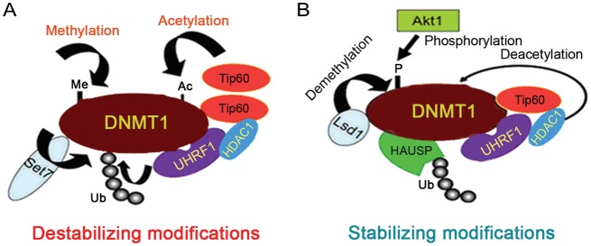 Figure 1.