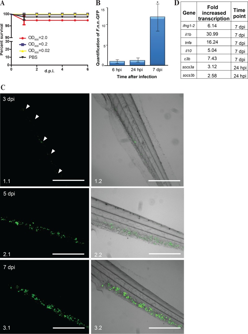 FIG 3