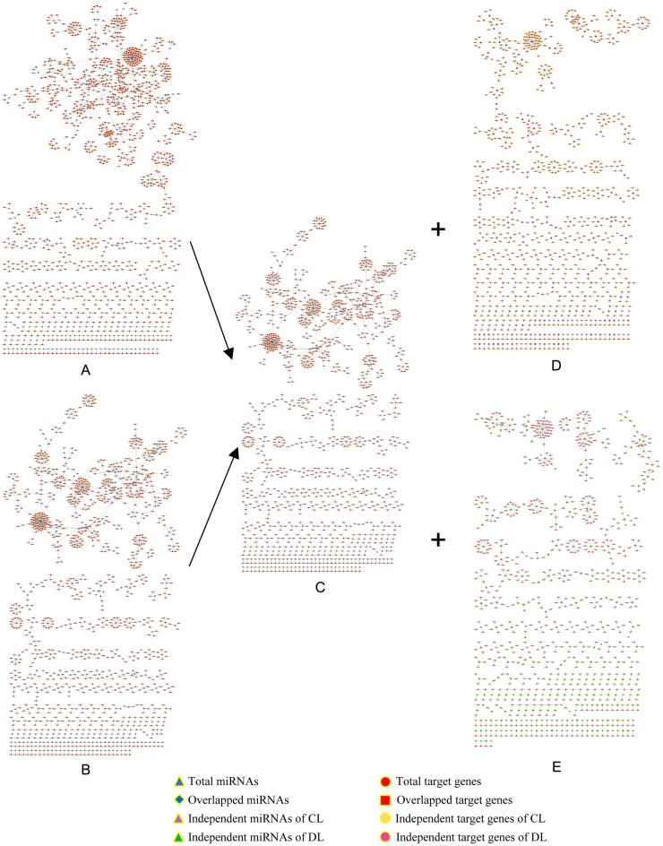 Fig 6