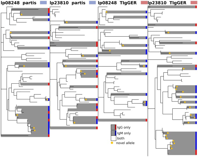 Fig 12