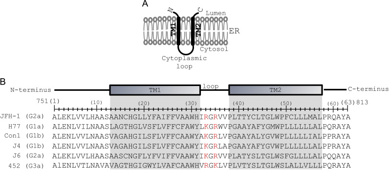Fig. 2