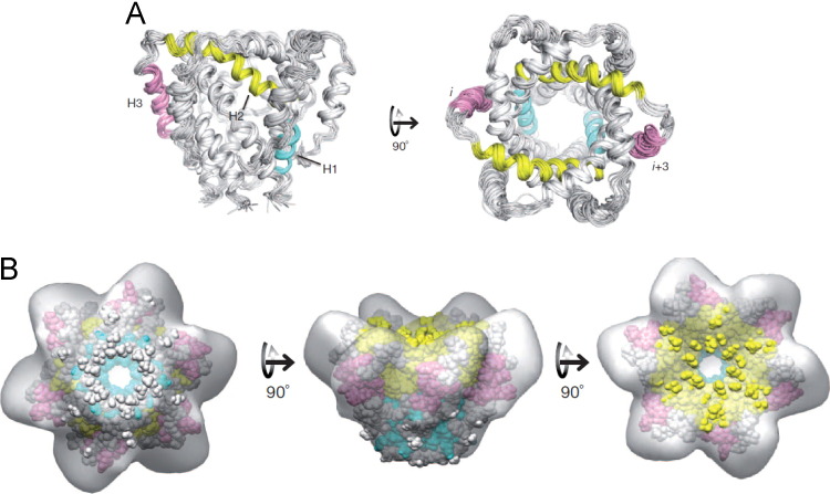 Fig. 3
