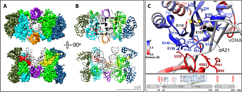 Fig. 1.