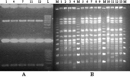 FIG. 1.