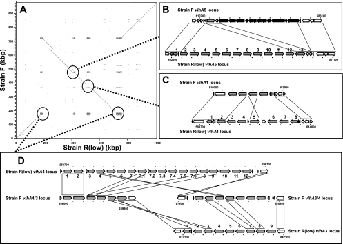 FIG. 1.