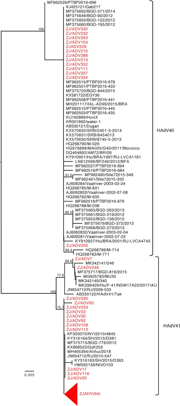 Fig. 2