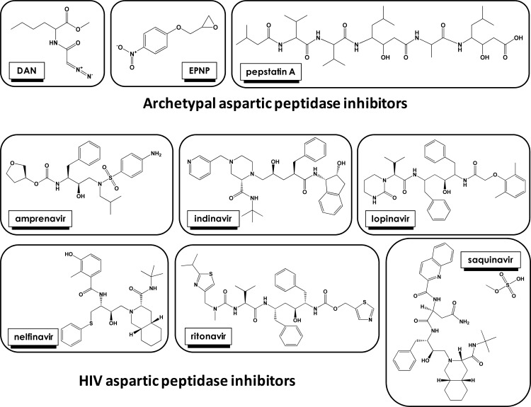 Fig. (6)