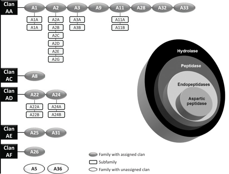 Fig. (4)