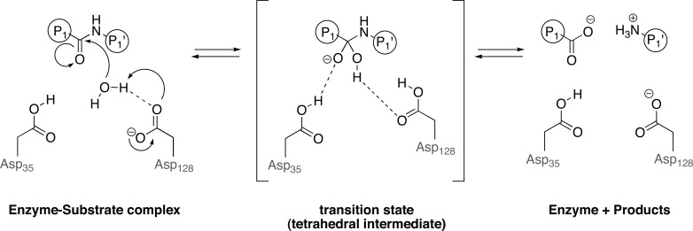 Fig. (5)