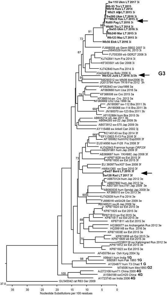 Fig. 1