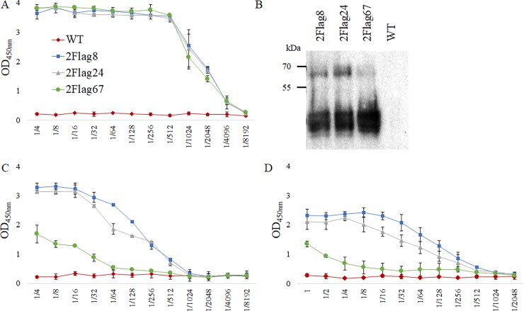 Fig 10