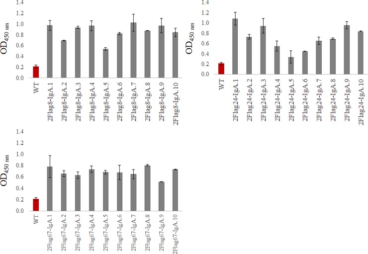 Fig 12