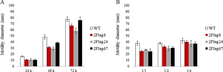 Fig 13