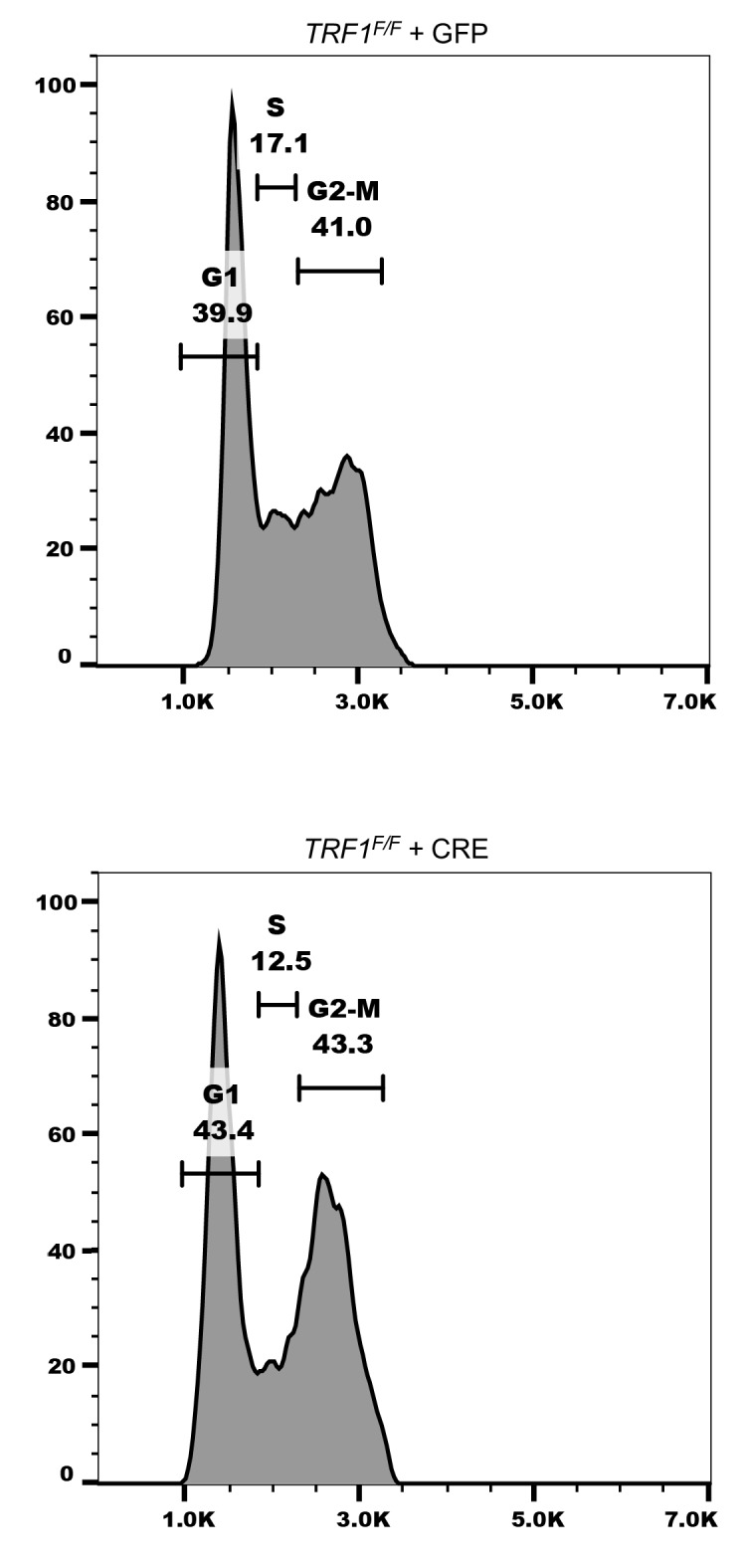 Figure 1—figure supplement 1.