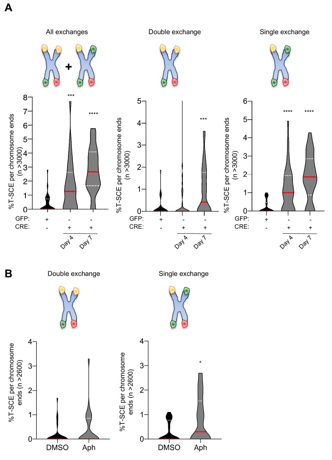 Figure 2—figure supplement 2.