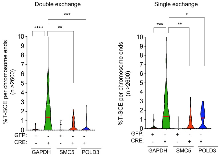 Figure 7—figure supplement 1.