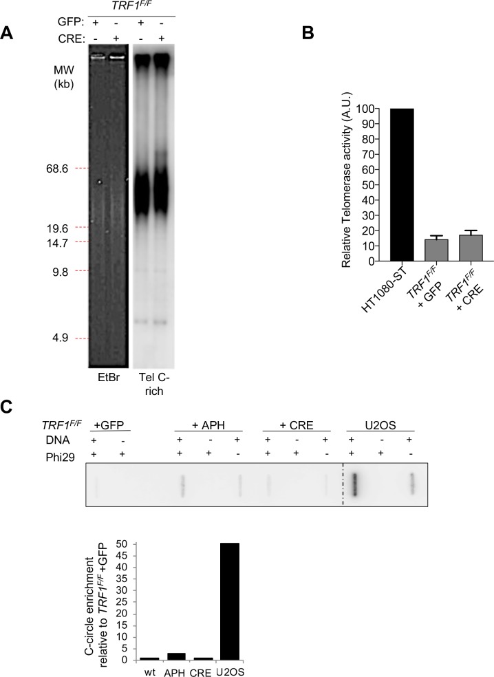 Figure 3—figure supplement 2.