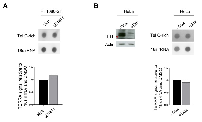 Figure 4—figure supplement 1.