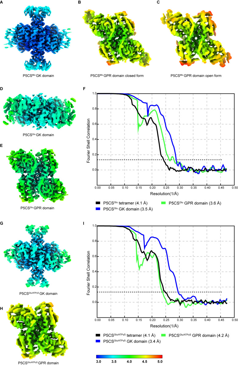 Figure 1—figure supplement 3.