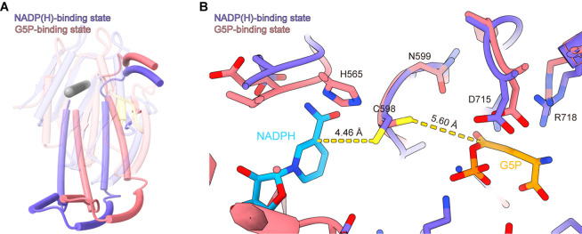 Figure 4—figure supplement 3.