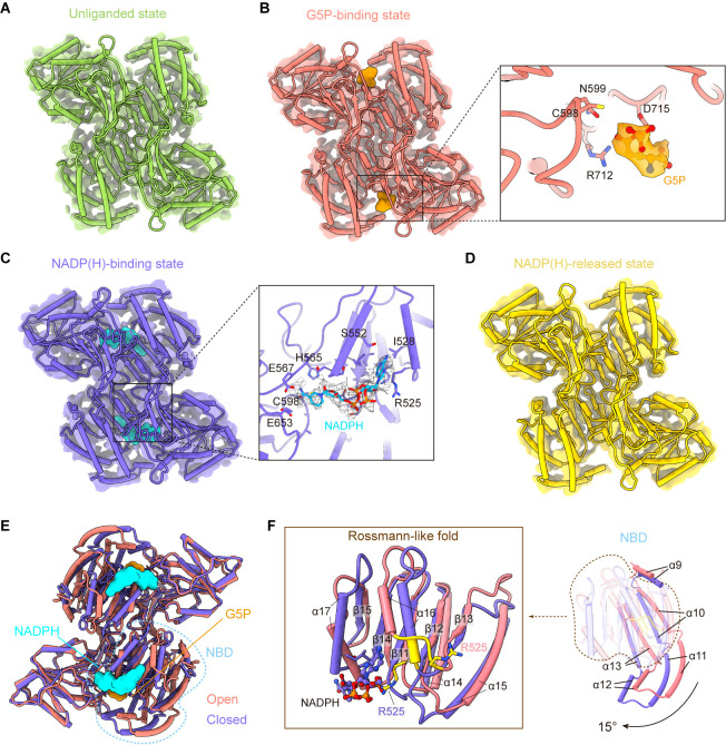 Figure 4.