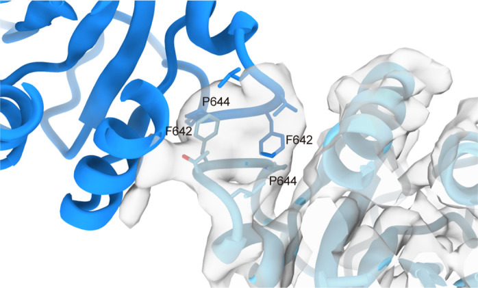 Figure 5—figure supplement 1.