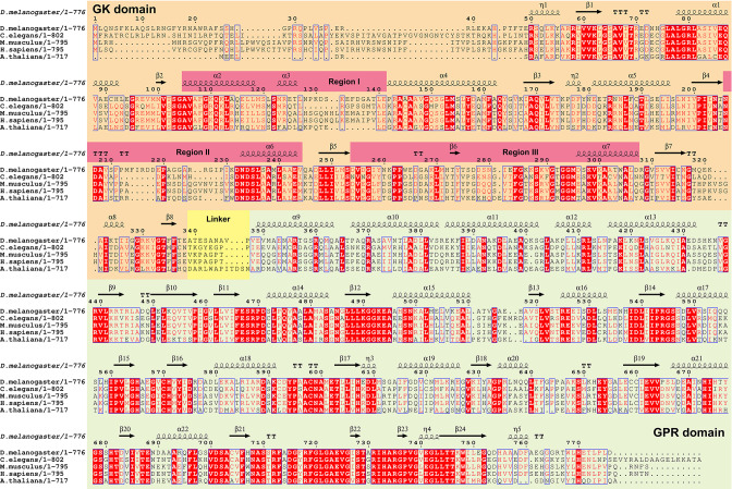 Figure 5—figure supplement 4.