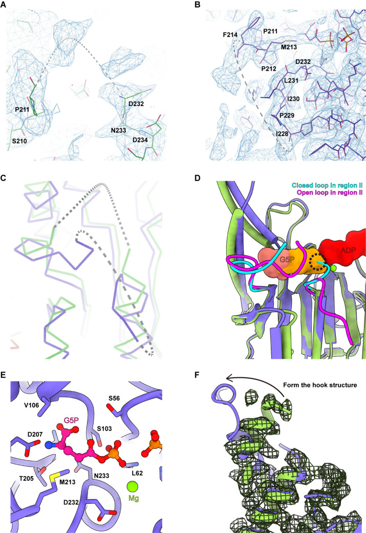 Figure 3—figure supplement 1.