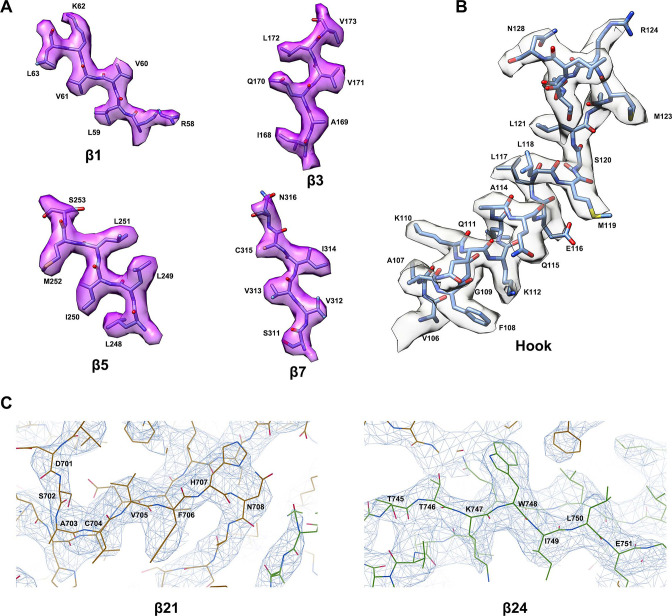 Figure 1—figure supplement 4.