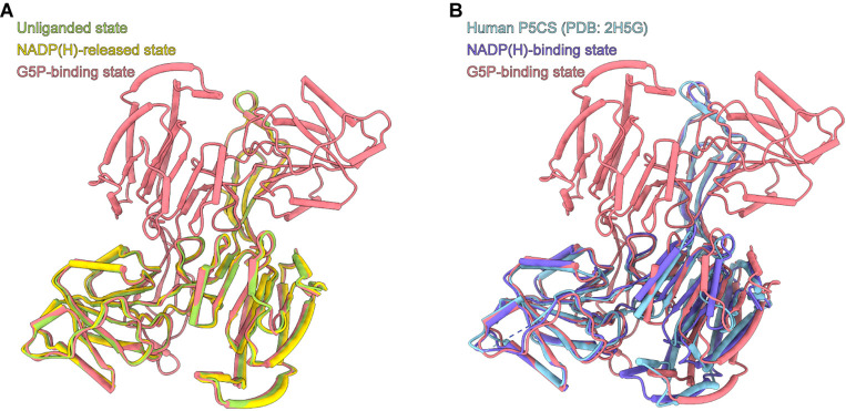 Figure 4—figure supplement 2.