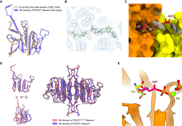 Figure 2—figure supplement 1.