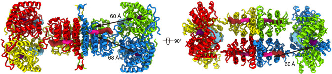 Figure 5—figure supplement 3.