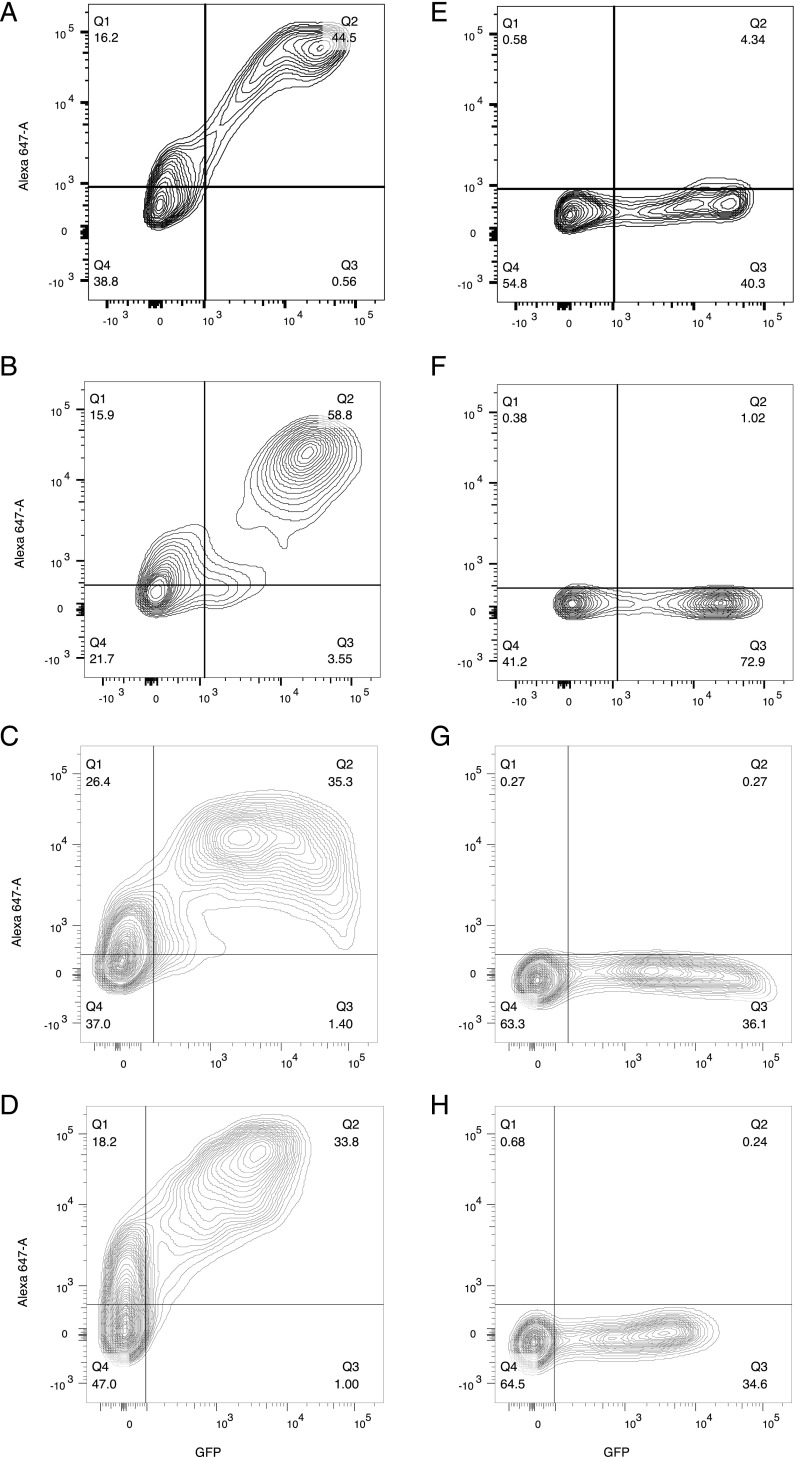 FIGURE 1.