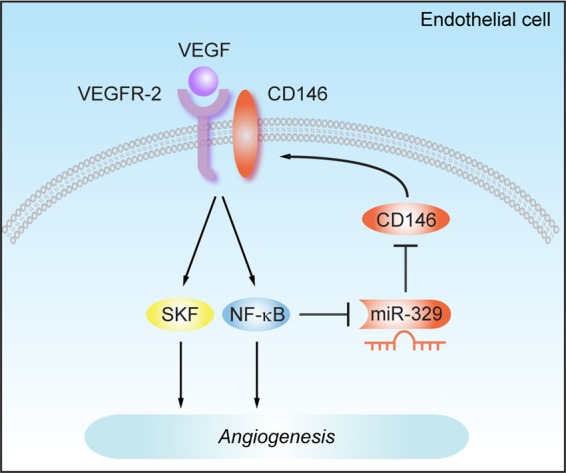 Fig 7