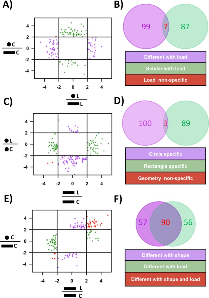 FIGURE 7: