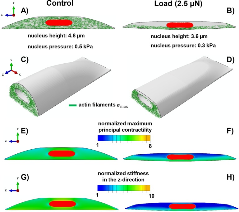 FIGURE 5: