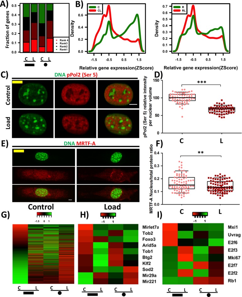 FIGURE 6: