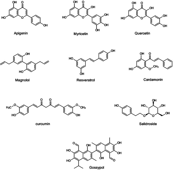 FIGURE 2